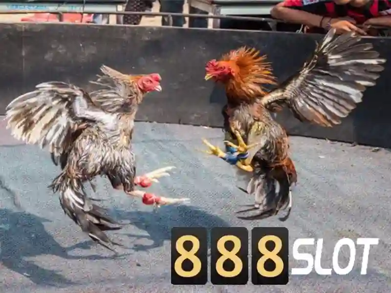 💎xn88 game.com💎