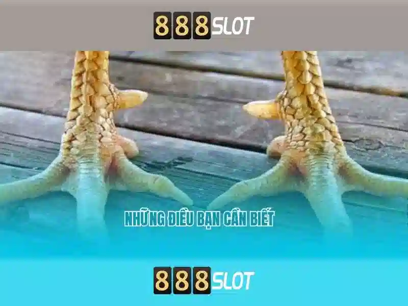 💎xn88 711 casino login💎