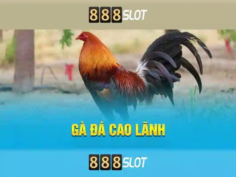 Khuyến Mãi 888SLOT - Tải 888slot Nhận Tiền Thưởng Khủng - 888slot