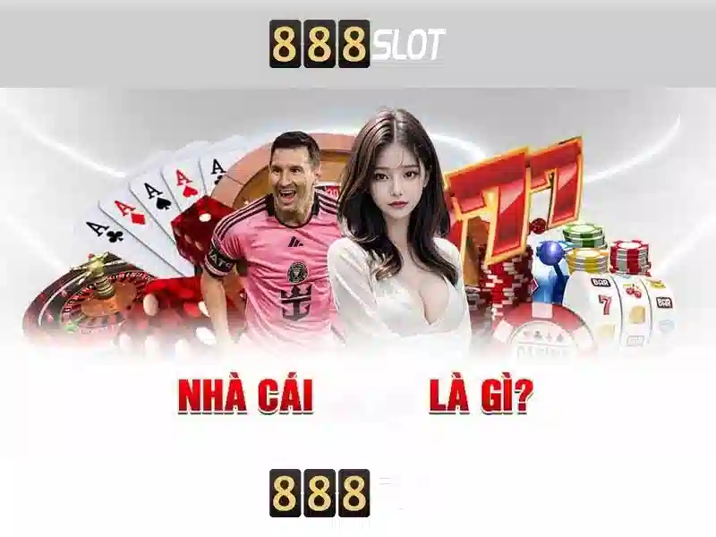 💎kèo nhà cái liver vs mc💎