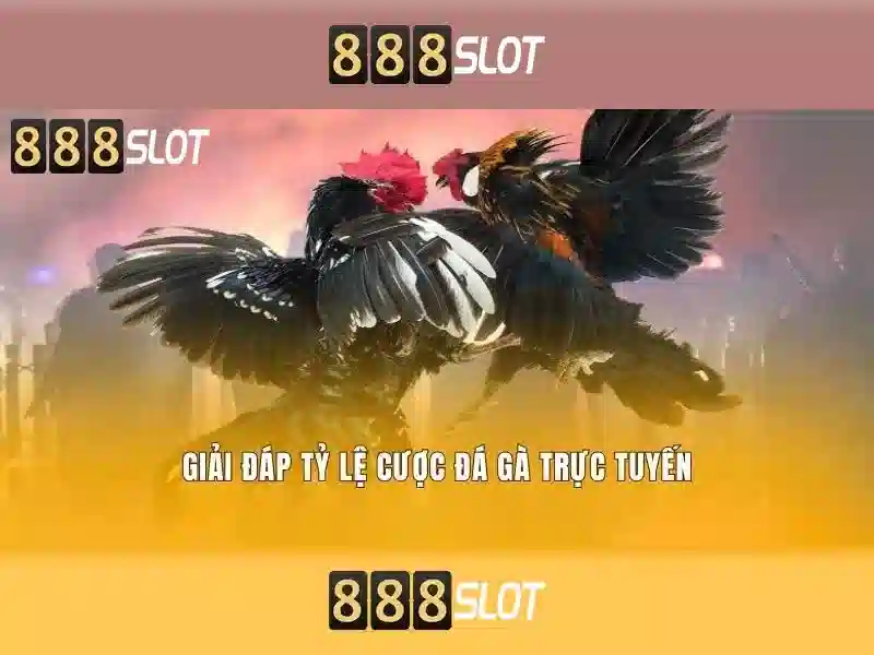 💎dd xs mn nha cai💎