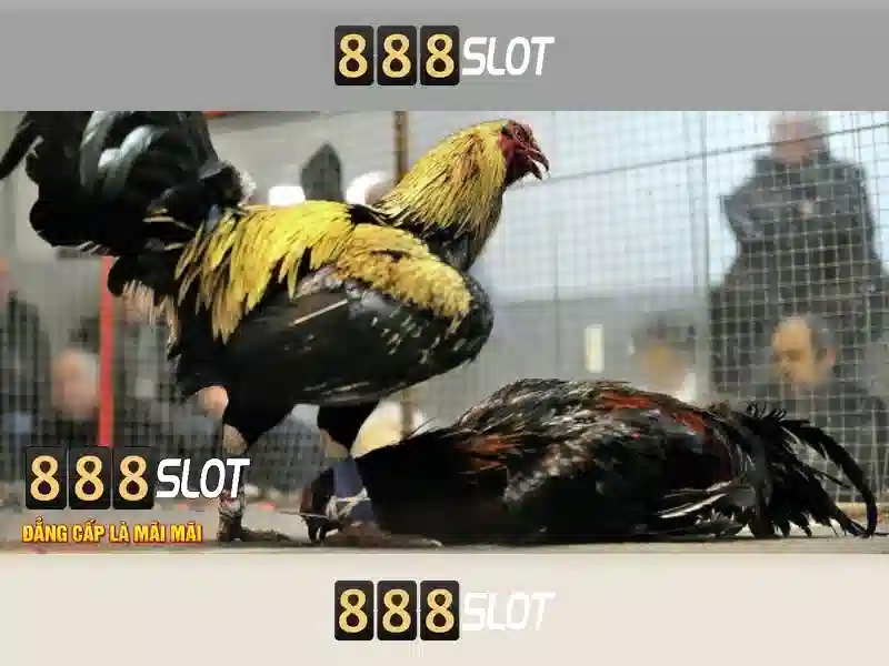 💎888 slot slot anfield💎