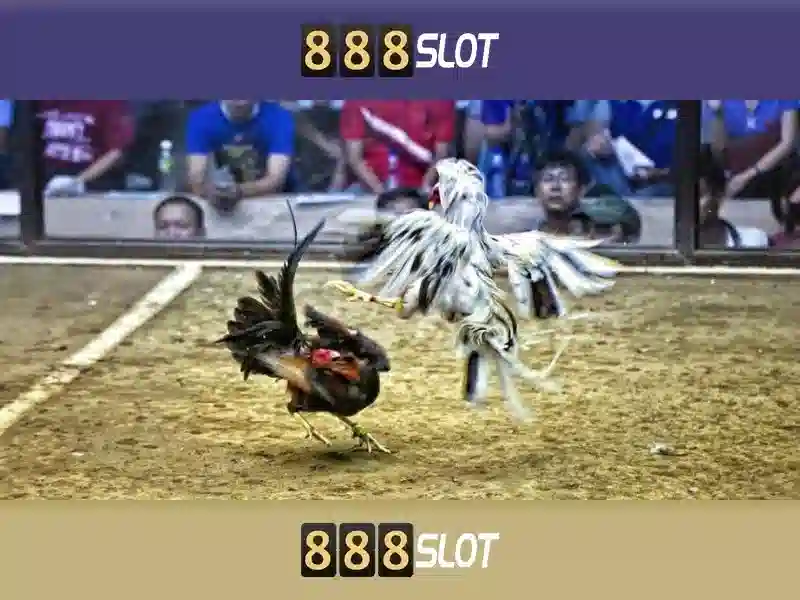 💎betvisa slot casino💎