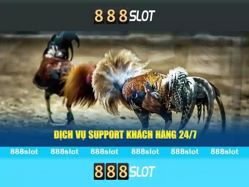 💎ebet4 nhà cái💎