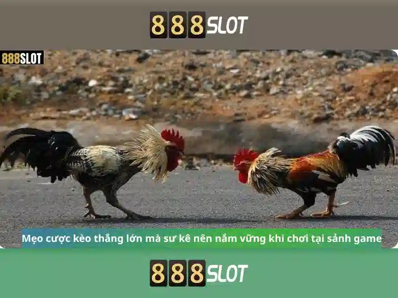 💎jackpot bingo hb88💎