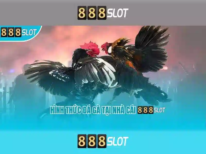 💎888 slot boat💎