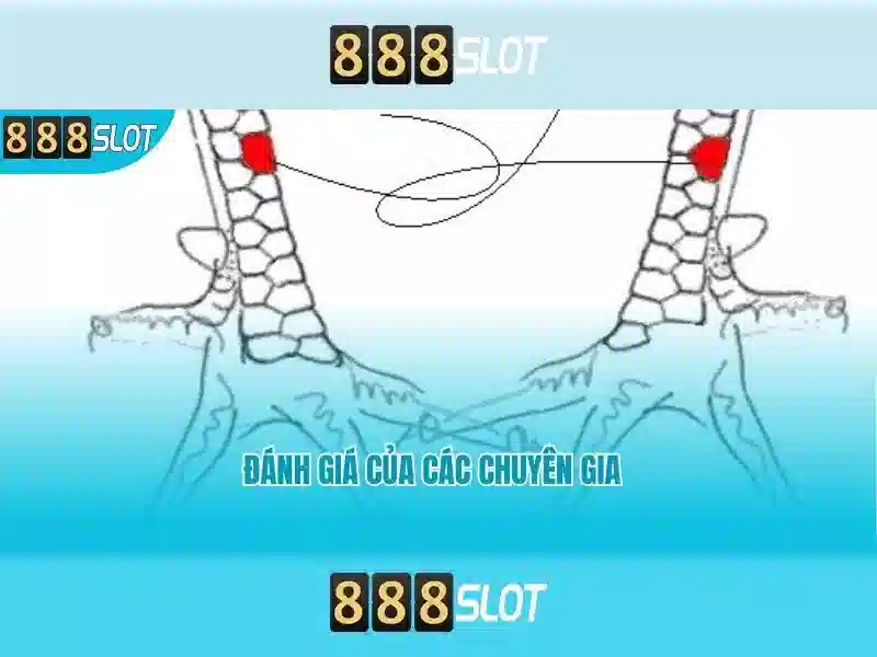 💎what slot machines pay best💎