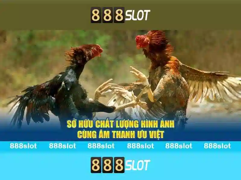 💎128 nhà cái uy tín💎