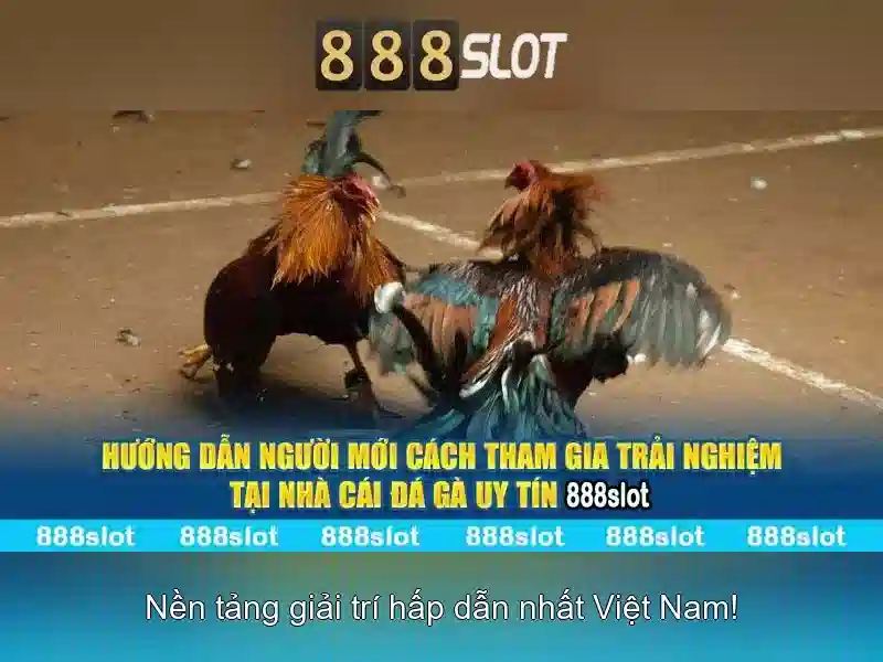 💎fabet tổng quan fabet💎 - fabet casino - nhà cái fabet hải phòng