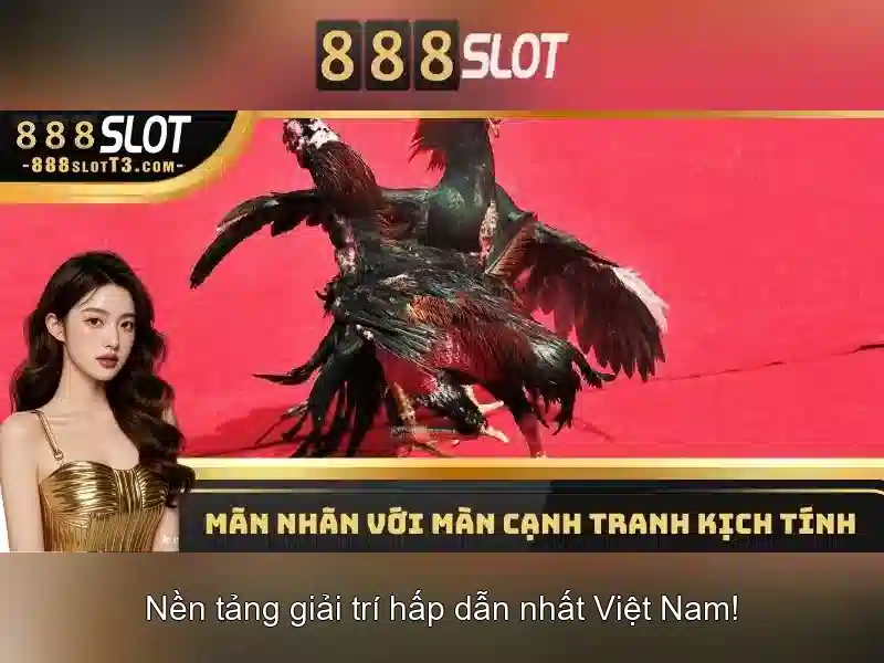 💎nhà nghỉ đạo quyên 2 móng cái💎
